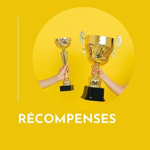 Recompenses-cadeau-entreprise-store-objet-publicitaire