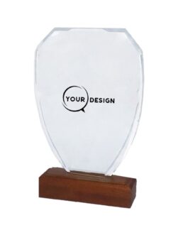 trophee-cristal-bois-biseaute-personnalise-tunisie-store-objet-publicitaire