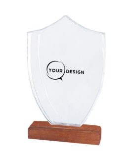 trophee-cristal-bois-bouclier-personnalise-tunisie-store-objet-publicitaire