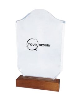 trophee-cristal-bois-vague-tunisie-store-objet-publicitaire